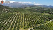 Agia Galini Kreta, Ag. Galini Olivenhain 130.000 m². Grundstück kaufen